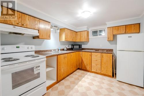 172 Pennywell Road, St. John'S, NL - Indoor Photo Showing Kitchen