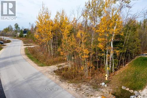 Lot 26 Delphi Lane, Blue Mountains, ON 