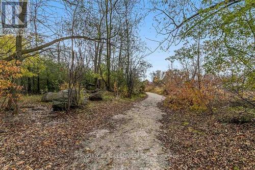 33 Niagara Street, Collingwood, ON - Outdoor With View