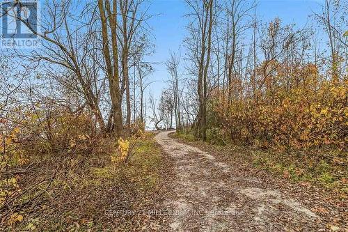 33 Niagara Street, Collingwood, ON - Outdoor With View