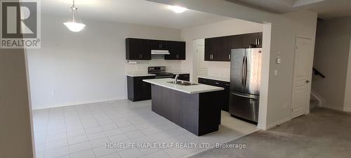 13 Riley Avenue E, Pelham, ON - Indoor Photo Showing Kitchen With Double Sink