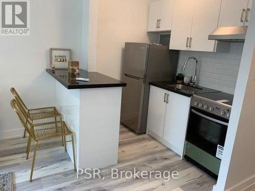 104 - 256 Sherbourne Street, Toronto, ON - Indoor Photo Showing Kitchen