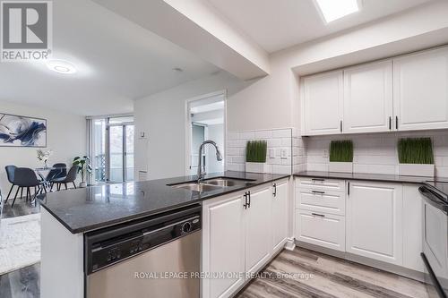 206 - 509 Beecroft Road, Toronto, ON - Indoor Photo Showing Kitchen With Double Sink With Upgraded Kitchen