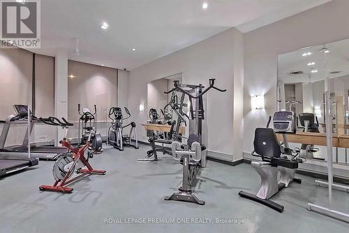 206 - 509 Beecroft Road, Toronto, ON - Indoor Photo Showing Gym Room