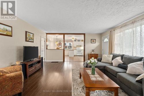 32805 Thorah Side Road, Brock, ON - Indoor Photo Showing Living Room