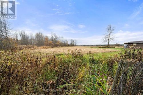 32805 Thorah Side Road, Brock, ON - Outdoor With View