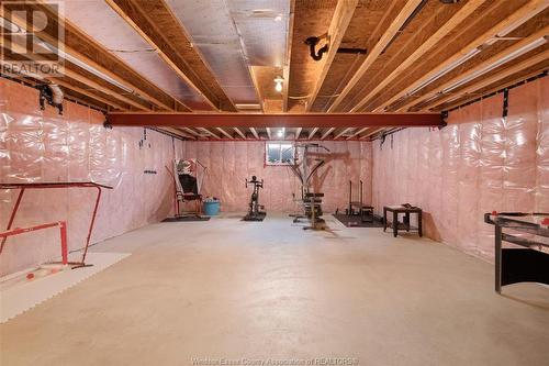 6767 County Rd 50, Amherstburg, ON - Indoor Photo Showing Basement