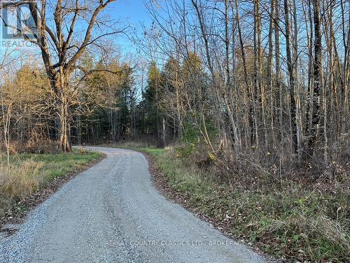 00 Bull Lake Road, Central Frontenac (Frontenac Centre), ON 