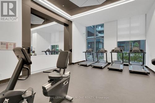 308 - 30 Samuel Wood Way, Toronto, ON - Indoor Photo Showing Gym Room