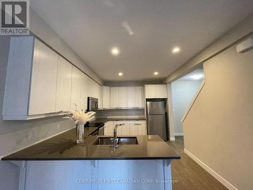 856 West Village Square, London, ON - Indoor Photo Showing Kitchen