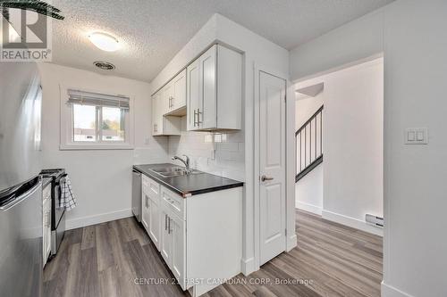 10 - 1600 Culver Drive, London, ON - Indoor Photo Showing Kitchen With Double Sink