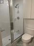 3801 - 33 Charles Street E, Toronto, ON  - Indoor Photo Showing Bathroom 