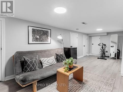 39 Bushell Avenue, Toronto, ON - Indoor Photo Showing Living Room