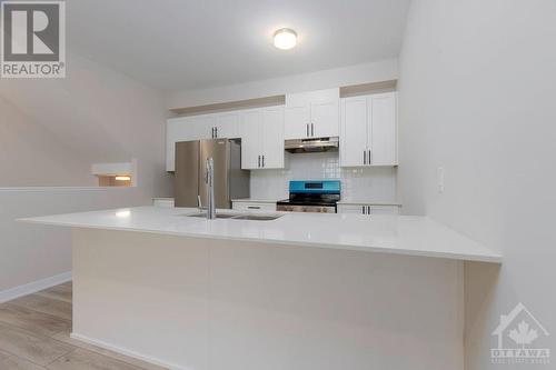 333 Catsfoot Walk, Ottawa, ON - Indoor Photo Showing Kitchen With Double Sink