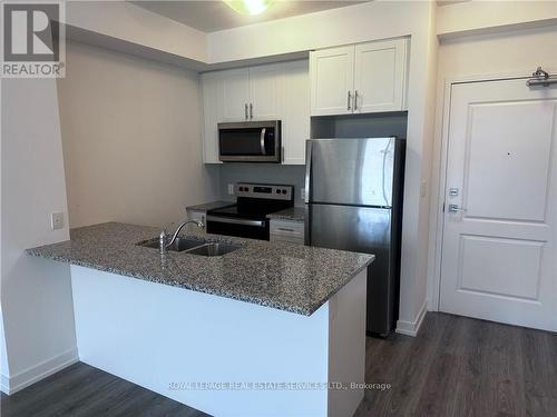 403 - 450 Dundas Street, Hamilton, ON - Indoor Photo Showing Kitchen With Stainless Steel Kitchen With Double Sink