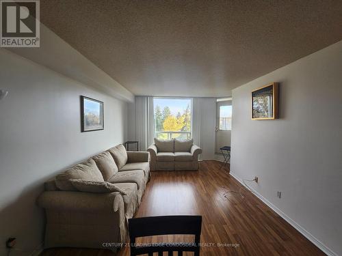 204 - 480 Mclevin Avenue, Toronto, ON - Indoor Photo Showing Living Room