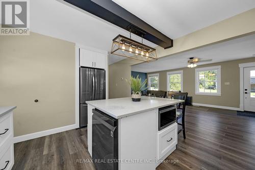 226 Daniel Street, Erin, ON - Indoor Photo Showing Kitchen