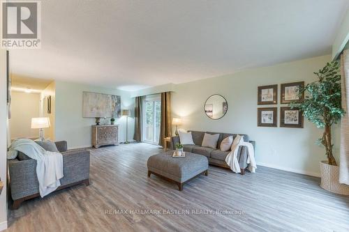 660 Pope Drive, Smith-Ennismore-Lakefield, ON - Indoor Photo Showing Living Room