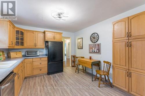 660 Pope Drive, Smith-Ennismore-Lakefield, ON - Indoor Photo Showing Kitchen