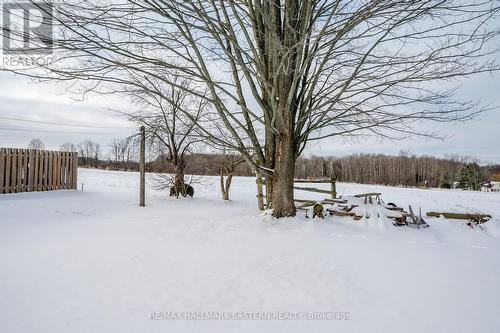 660 Pope Drive, Smith-Ennismore-Lakefield, ON - Outdoor With View