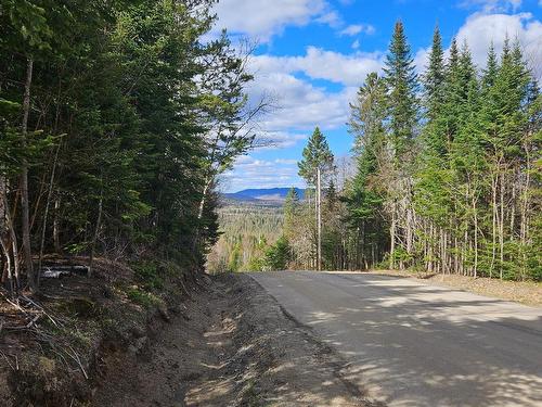 Land/Lot - Ch. Du Dévers, Lac-Supérieur, QC 