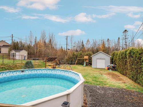 Cour - 40 Rue Du Mistral, Sainte-Catherine-De-La-Jacques-Cartier, QC - Outdoor With Above Ground Pool With Backyard