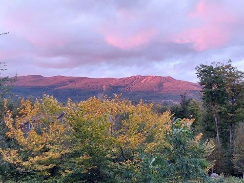 View - 4-280 Rue Du Mont-Plaisant, Mont-Tremblant, QC - Outdoor With View