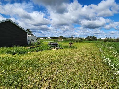 Backyard - 961 1Er-Et-10E Rang, Sainte-Germaine-Boulé, QC - Outdoor With View