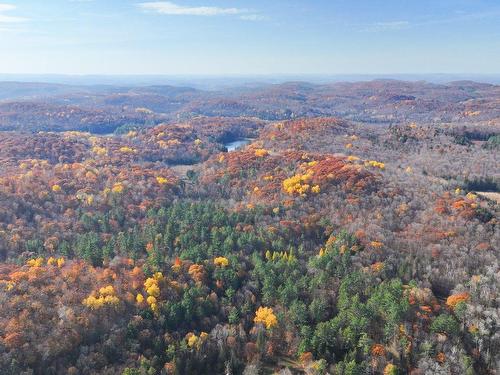 Vue d'ensemble - 164 Ch. Dubois, Val-Des-Monts, QC - Outdoor With View