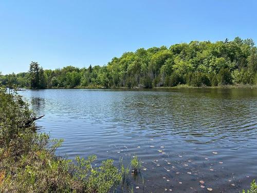 Waterfront - Rue Grilli, Wentworth-Nord, QC 