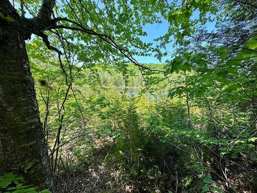 Water view - Rue Grilli, Wentworth-Nord, QC 