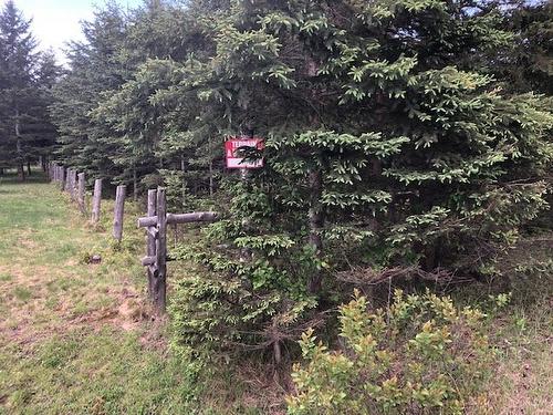 Frontage - Mtée Kavanagh, Mont-Tremblant, QC 