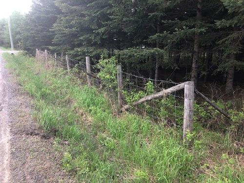 Autre - Mtée Kavanagh, Mont-Tremblant, QC 