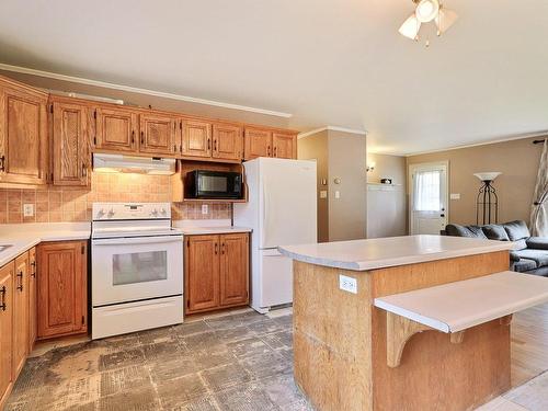 Kitchen - 117 Rg Des Dussault, Saint-Sébastien, QC - Indoor Photo Showing Kitchen