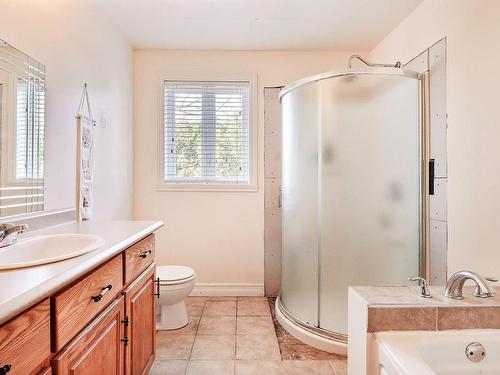 Bathroom - 117 Rg Des Dussault, Saint-Sébastien, QC - Indoor Photo Showing Bathroom