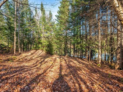 Land/Lot - 20 Ch. Nadeau, Val-Des-Lacs, QC - Outdoor With View