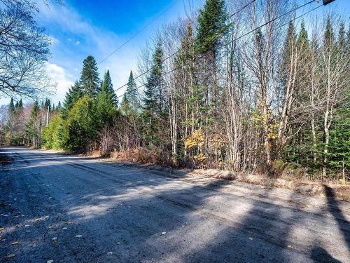 Land/Lot - 20 Ch. Nadeau, Val-Des-Lacs, QC - Outdoor With View