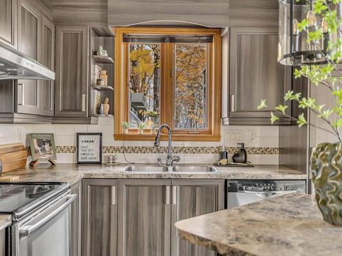 Cuisine - 57  - 59 Rue Des Castels, Lévis (Desjardins), QC - Indoor Photo Showing Kitchen With Double Sink