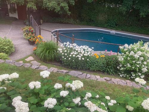 Pool - 273 Rue Valois, Saint-Bruno-De-Montarville, QC - Outdoor