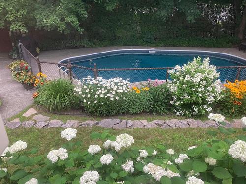 Pool - 273 Rue Valois, Saint-Bruno-De-Montarville, QC - Outdoor With In Ground Pool With Backyard