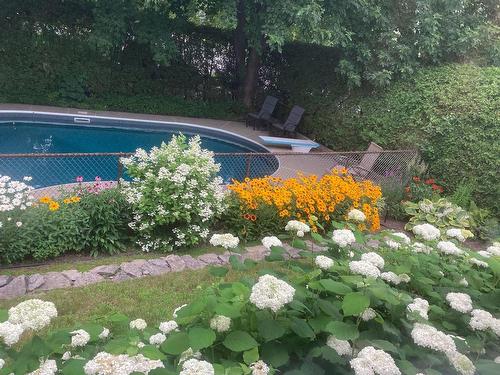 Pool - 273 Rue Valois, Saint-Bruno-De-Montarville, QC - Outdoor With Backyard