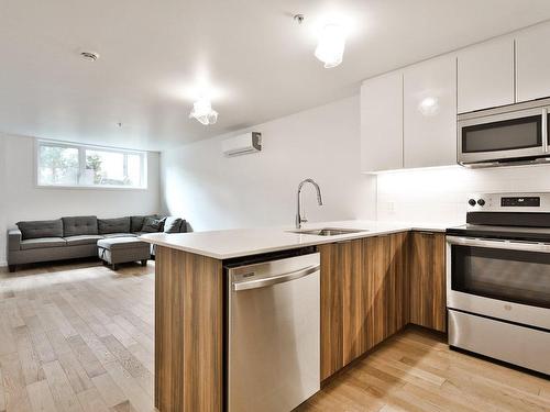 Vue d'ensemble - 001-552 Rue Nicolet, Montréal (Mercier/Hochelaga-Maisonneuve), QC - Indoor Photo Showing Kitchen