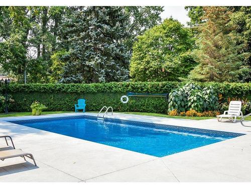 Pool - 210-210 Rue Louis-Hébert, Boucherville, QC - Outdoor With In Ground Pool With Backyard