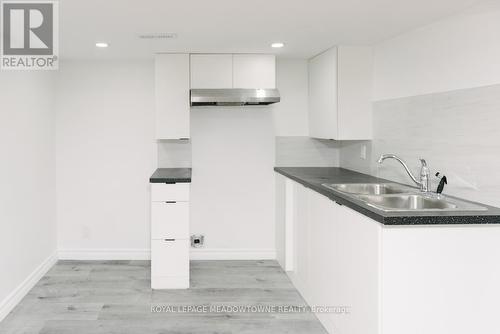 673 Knox Avenue, Hamilton, ON - Indoor Photo Showing Kitchen With Double Sink