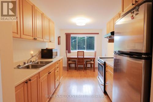 66 Mcfadden Road, North Kawartha, ON - Indoor Photo Showing Kitchen With Double Sink