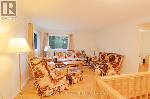 66 Mcfadden Road, North Kawartha, ON - Indoor Photo Showing Living Room