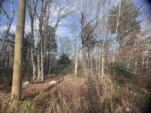 Lot 13 Russells Cove Road, Parkdale, NS 