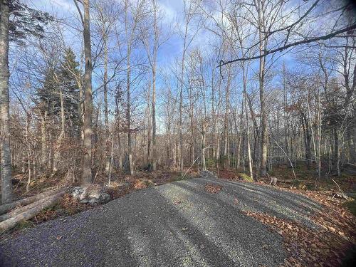 Lot 13 Russells Cove Road, Parkdale, NS 