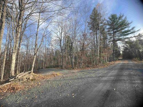 Lot 13 Russells Cove Road, Parkdale, NS 