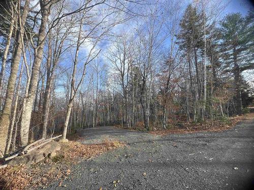 Lot 13 Russells Cove Road, Parkdale, NS 